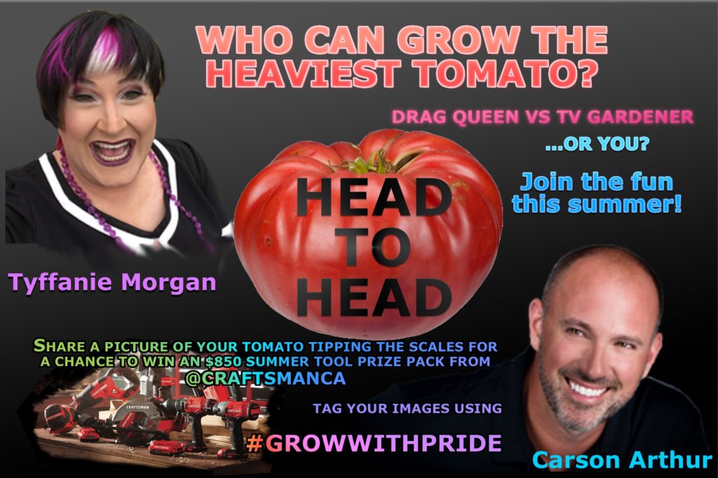 Who can grow the heaviest tomato