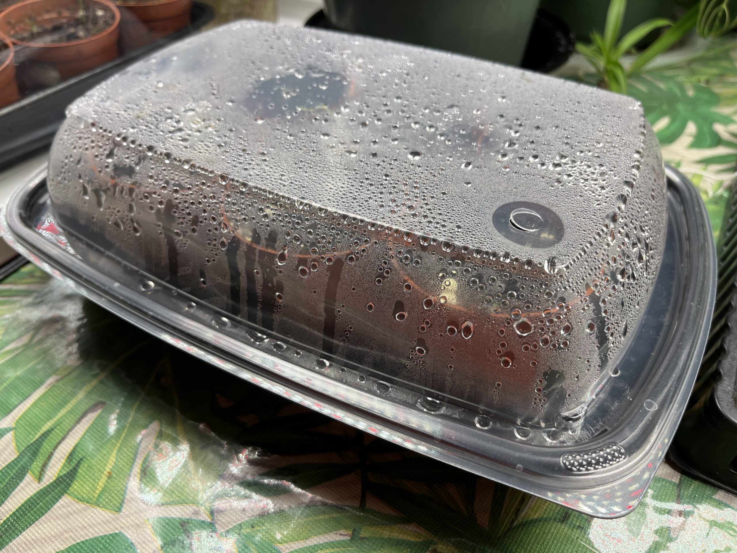 Takeout container propagation